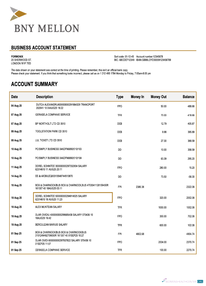 Download USA Bank of New York Mellon organization statement Word and PDF template Photoshop template